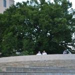 OTRA2014CN_0121 (August 25, 2014)